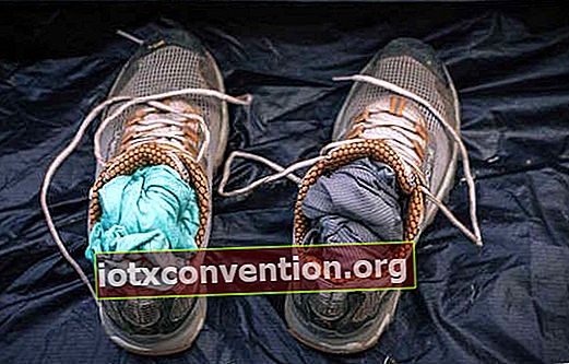 Wie man nasse Schuhe beim Camping schnell trocknet?