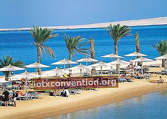 Hurghada Ägypten Günstige Reise Wassersport