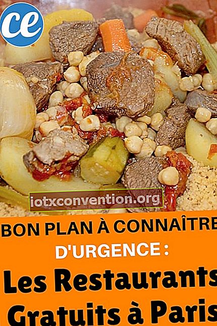 홍합과 감자 튀김 또는 쿠스쿠스를 제공하는 파리의 무료 레스토랑 목록