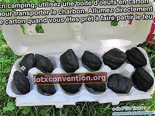 utilizzare una scatola per uova di cartone per trasportare il carbone